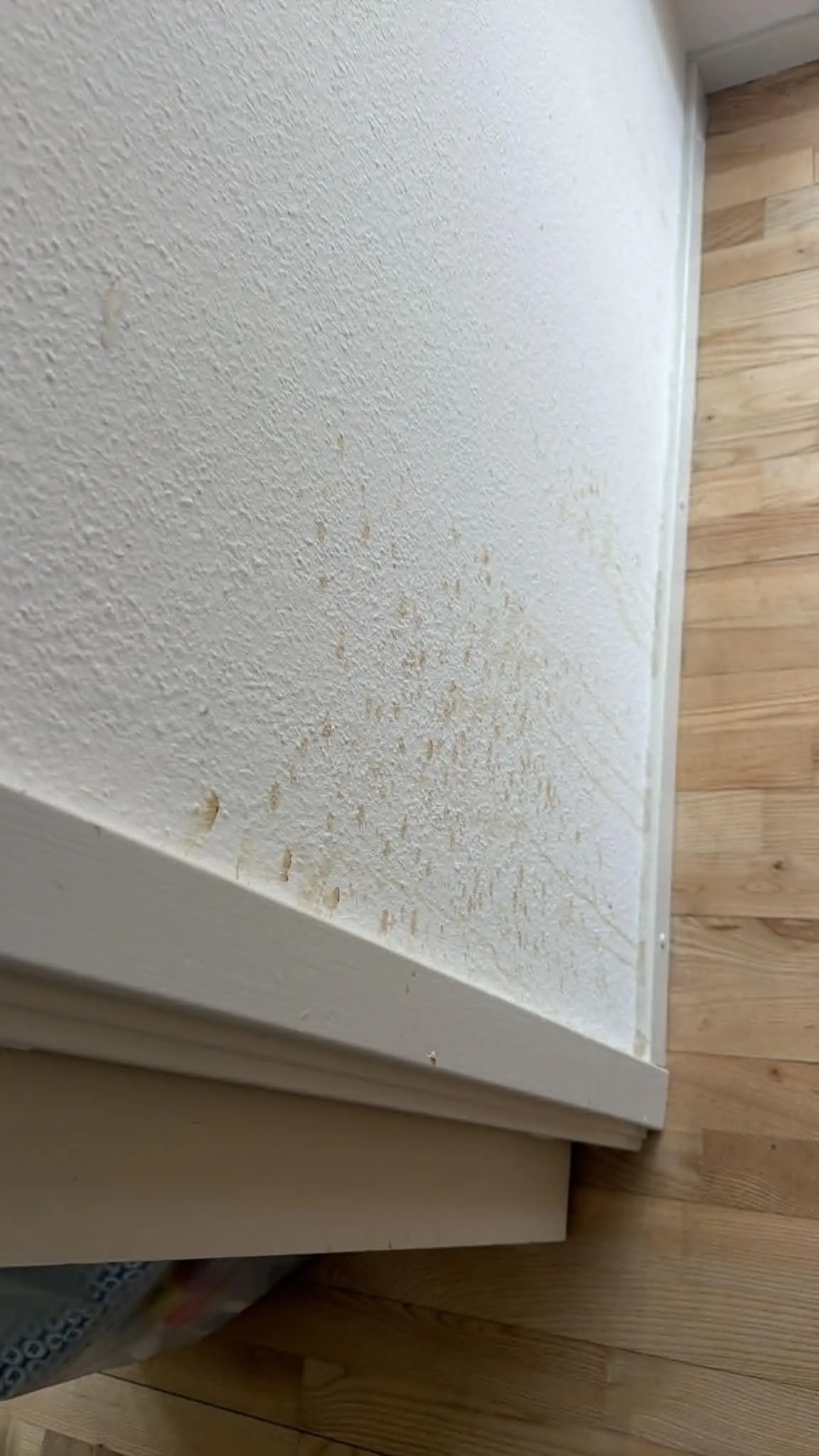 Værelse før fraflytningsrengøring på Sjælland